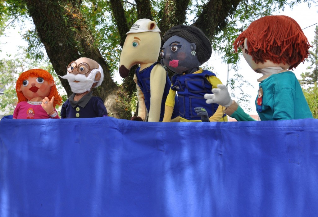 show_img (1)