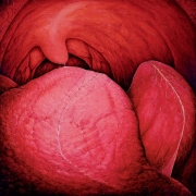 TelmoLanes O BEIJO, o?leo s t, 130x130cm, 2003  Foto Fa?bio Del Re