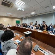 Reunião dos Secretários e Dirigentes da Cultura com a ministra Margareth Menezes