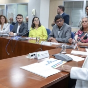 Fórum dos Secretários e Dirigentes da Cultura em audiência com a ministra Margareth Menezes