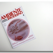 1 2  Gabriel Pessoto Ambiente Moderno 