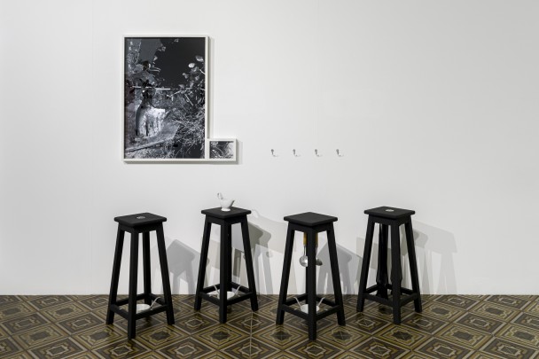 Dione Veiga Vieira (Porto Alegre, 1954) Antessala   Extremos (2008   2013)