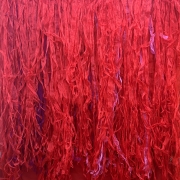 Carla Beretta   JPG red