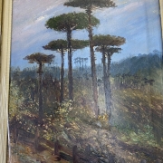 Uma das obras de arte doadas por Bergamini