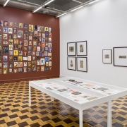 Exposição 'Wilson Cavalcanti   Os jardins que me habitam'  Fotografia de Anderson Astor (2) 2