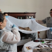 A imagem em uma sala de paredes brancas mostra duas pessoas segurando um tecido do tipo voal onde está um documento encharcado. As pessoas utilizam equipamentos de proteção individual, luvas azuis e avental branco. À frente delas, uma mesa redonda protegida com tecido branco está cheia de materiais diversos em papel, fotografia e vinil.