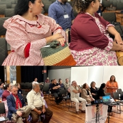 A imagem é uma montagem de duas fotos que mostram a platéia em um auditório de paredes claras e cadeiras pretas.