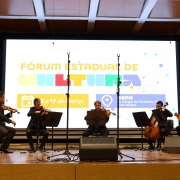 Camerata de cordas da Ospa
