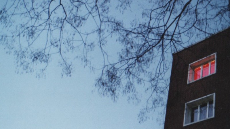 A imagem mostra uma cena externa registrada ao entardecer ou in&iacute;cio da noite, sob um c&eacute;u de tonalidade azul-acinzentada. No canto superior e atravessando grande parte da imagem, destacam-se os galhos finos e sem folhas de uma &aacute;rvore, formando uma rede de linhas escuras que se espalham sobre o c&eacute;u. &Agrave; direita, aparece parte da fachada de um edif&iacute;cio de tijolos escuros. S&atilde;o vis&iacute;veis duas janelas: a superior est&aacute; iluminada por uma intensa luz vermelha ou rosa, criando um forte contraste com o restante da cena, enquanto a janela inferior permanece escura, com vidros azulados que refletem a luz ambiente. A composi&ccedil;&atilde;o &eacute; enquadrada de baixo para cima, enfatizando a altura do pr&eacute;dio e a copa da &aacute;rvore.