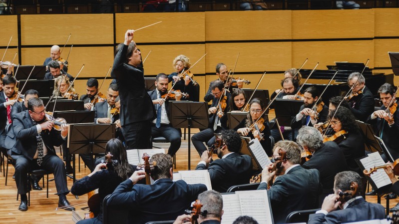 Imagem mostra a orquestra sinf&ocirc;nica durante uma apresenta&ccedil;&atilde;o em um audit&oacute;rio. Dezenas de m&uacute;sicos, vestidos de preto, est&atilde;o sentados em cadeiras e tocam instrumentos de cordas, como violinos, violas e violoncelos, diante de estantes com partituras. Ao centro, o maestro, tamb&eacute;m vestido de preto, est&aacute; de p&eacute; e ergue o bra&ccedil;o para conduzir a orquestra. Ao fundo, as paredes s&atilde;o revestidas com pain&eacute;is de madeira em tons de amarelo e marrom.