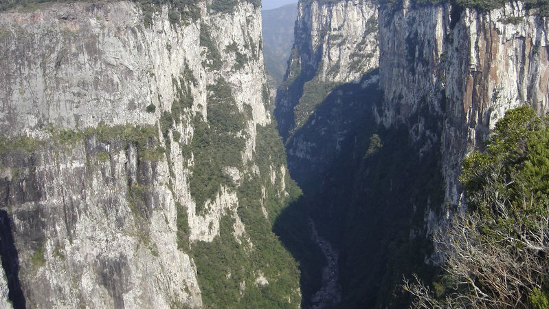 20131113134323canios.jpg