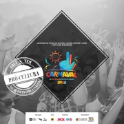 O Carnaval de Rua de Porto Alegre tem financiamento do Governo do Rio Grande do Sul por meio do Pró-cultura RS