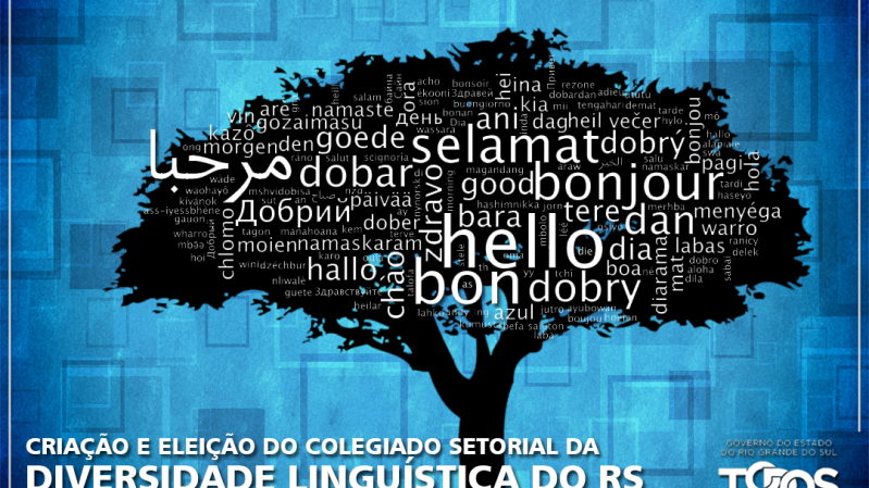 Os Colegiados Setoriais tem como objetivo atender às demandas de diferentes áreas da cultura