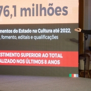 "Nosso governo fez sua parte para estimular a cultura, porque acreditamos na energia produzida pelo setor cultural", disse Leite