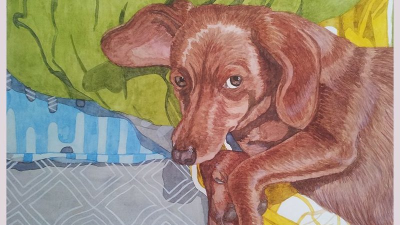 aquarela.jpg